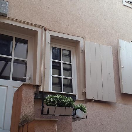 Colmar City Center Little Venise - Gite De Louise - エクステリア 写真